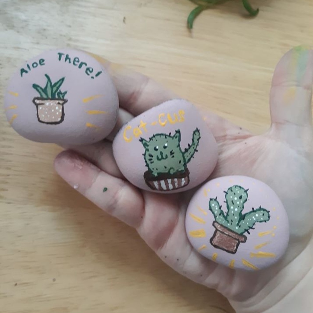Houseplant Painted Rocks Aloe Cactus Cats